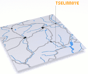 3d view of Tselinnoye