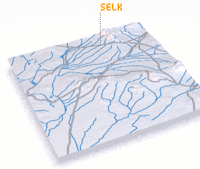 3d view of Selk