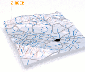 3d view of Zīnger