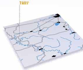 3d view of Tany