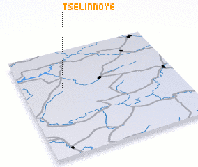 3d view of Tselinnoye