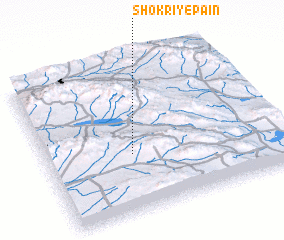 3d view of Shokrī-ye Pā\