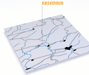 3d view of Kaskinovo