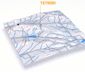 3d view of Teymūrī