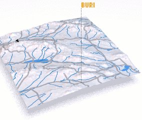 3d view of Būrī