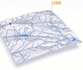 3d view of Līskī