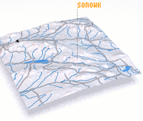 3d view of Sonowk
