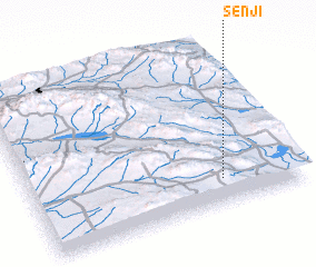 3d view of Senjī