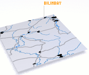 3d view of Bilimbay