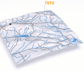 3d view of Tūtū