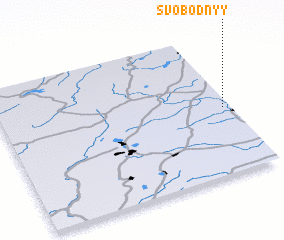 3d view of Svobodnyy