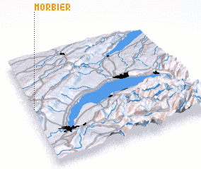 3d view of Morbier