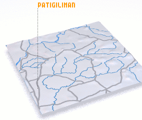 3d view of Patigi Liman