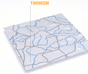 3d view of Tokunzhi