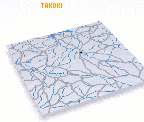 3d view of Takoki