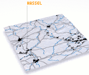 3d view of Hassel