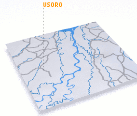 3d view of Usoro