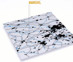 3d view of Hamsel