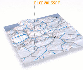 3d view of Bled Youssef
