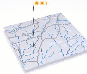 3d view of Kukoki