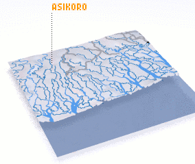 3d view of Asikoro