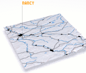 3d view of Nancy