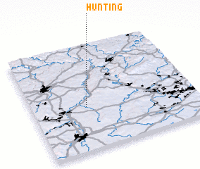 3d view of Hunting