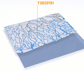 3d view of Tubopiri