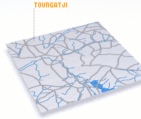 3d view of Toungatji