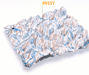 3d view of Pussy