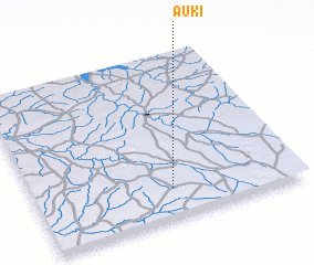 3d view of Auki