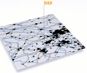 3d view of Niep