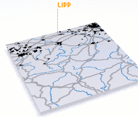 3d view of Lipp