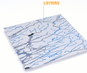 3d view of Løyning