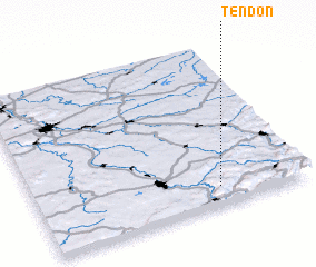 3d view of Tendon