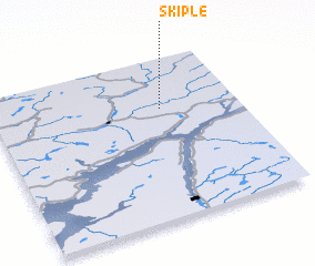 3d view of Skiple