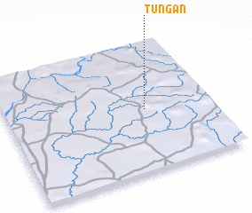 3d view of Tungan
