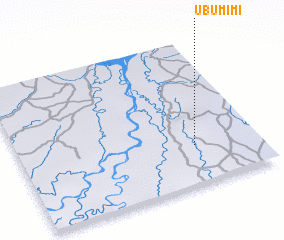 3d view of Ubumimi