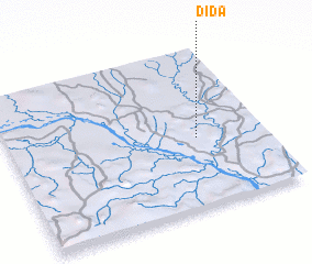 3d view of Dida