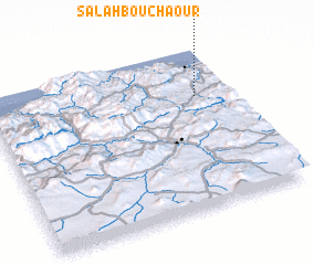 3d view of Salah Bouchaour