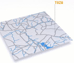 3d view of Toza