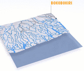 3d view of Bokobokiri