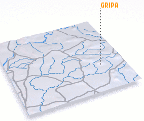 3d view of Gripa