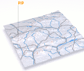 3d view of Pīp