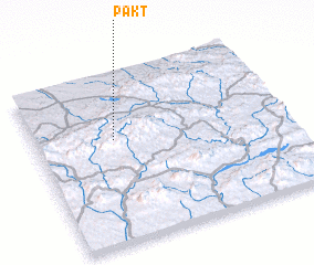 3d view of Pakt