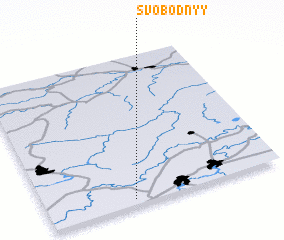 3d view of Svobodnyy