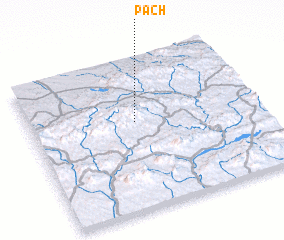 3d view of Pach