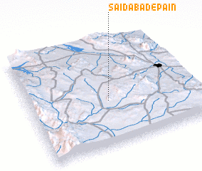 3d view of Sa‘īdābād-e Pā\