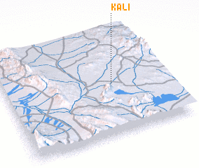 3d view of Kalī