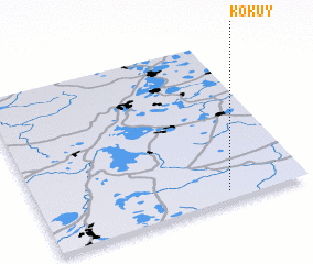 3d view of Kokuy